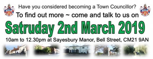 Thinking of Becoming A Town Councillor?