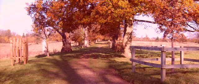 Friends of Pishiobury Park